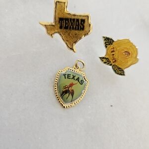 Texas Themed Enamel Pins